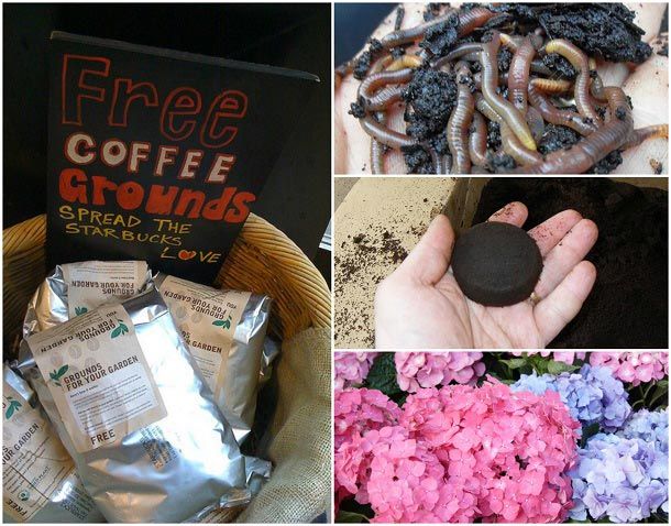 10 maneras del genio de utilizar viejos Argumentos de café en su jardín