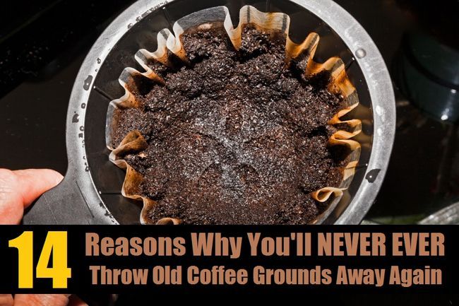 14 maneras del genio de reciclar granos de café usados