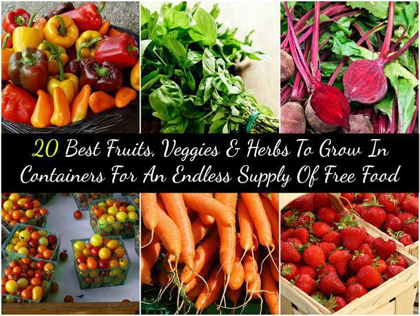 20 mejores frutas, verduras y hierbas para crecer en recipientes de un suministro interminable de comida gratis