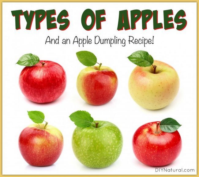 21 tipos de Apple y una receta dumpling deliciosa manzana
