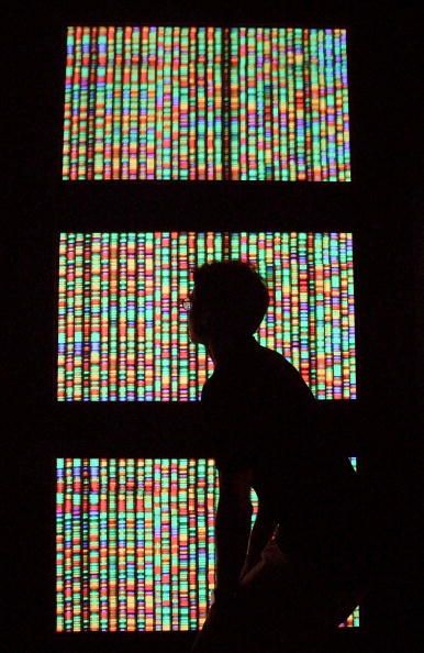 Una representación del genoma humano.