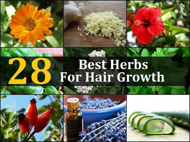 28 mejores hierbas para el crecimiento del cabello