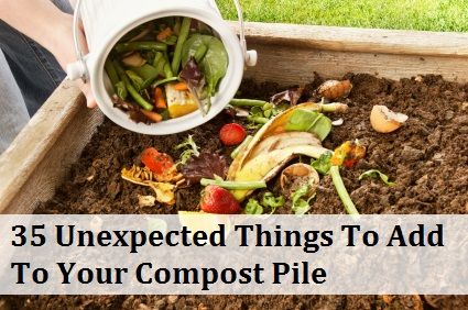 35 Cosas inesperadas para añadir a su pila de compost
