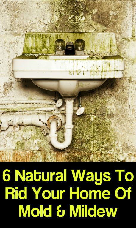 6 maneras naturales para deshacerse de su casa de moho y hongos
