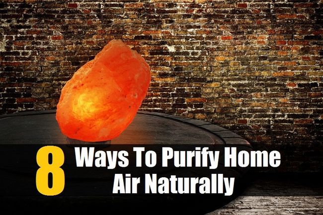 8 maneras de purificar el aire en casa de forma natural para que su familia puede respirar el más sano, más limpio posible de aire