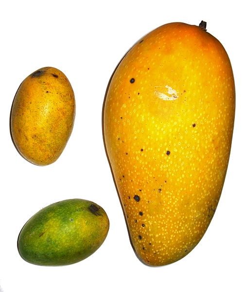 Mango Africano