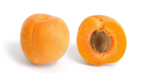 El albaricoque es una fruta de hueso con una tuerca de semillas en su interior. Su forma es similar a la del melocotón pero ligeramente más pequeño, con la piel que es aterciopelado y naranja de color dorado.