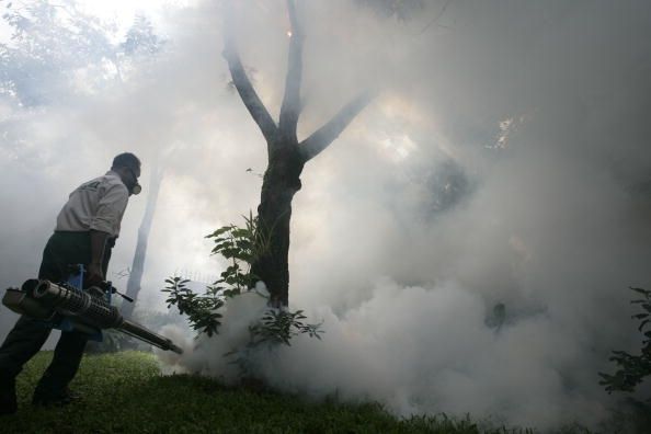 Brote de Chikungunya: Costa Rica reporta 106 casos, los expertos dicen que las amas de casa con mayor riesgo