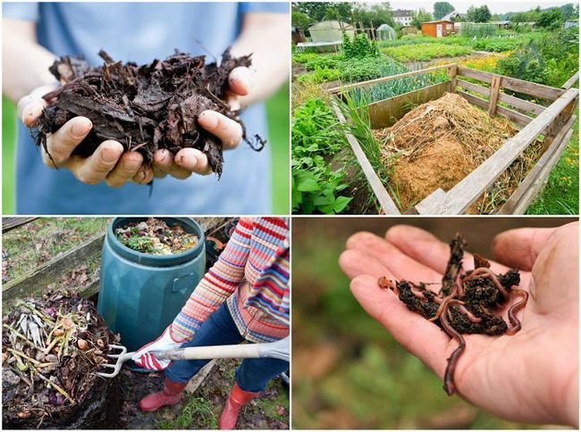 Compost 101: cómo crear compost que funciona como combustible para cohetes para su jardín