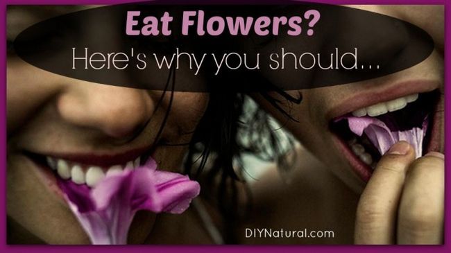 Comer flores para la salud, sabor y más