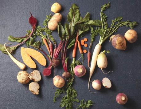 ¿Cuáles son las hortalizas de raíz?