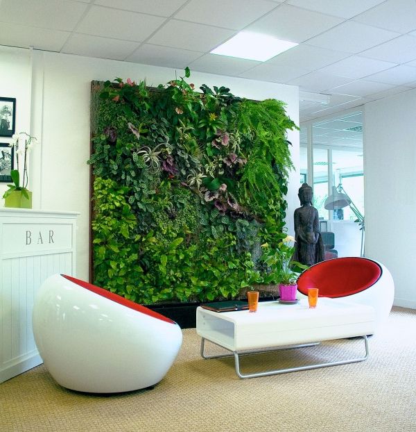 Los empleados que trabajan en una habitación con las plantas son más productivas, dice estudio