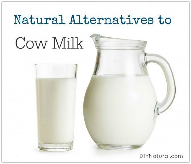 Disfruta de estas alternativas naturales a la leche de la vaca lechera