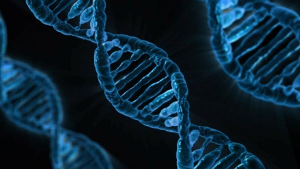 Nuevo estudio revela análisis genéticos pueden producir resultados precisos sin importar donde se llevan a cabo.