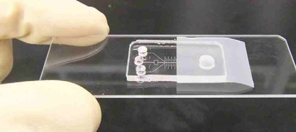 Pionera chips de microfluidos para la detección temprana del cáncer