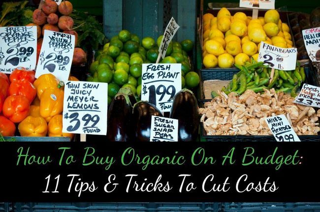 Cómo comprar orgánico en un presupuesto: 11 Consejos y amp; Trucos para reducir costos