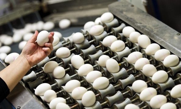 Los huevos son un signo de la temporada, pero pueden llevar bacterias de salmonela.