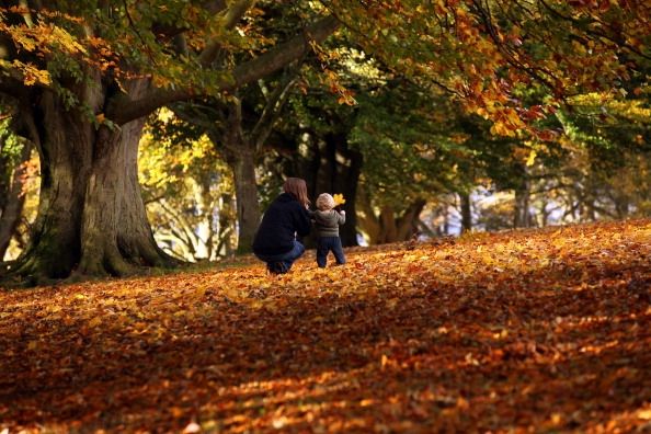 Espectacular colores del otoño se ven después de temperaturas suaves Más ...