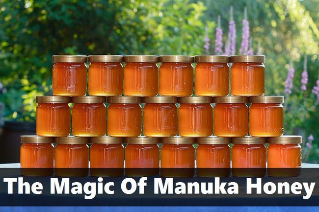 La magia de la miel de manuka - 9 increíbles beneficios
