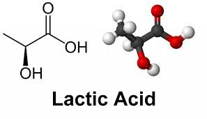 ácido láctico