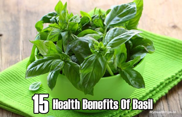 Top 15 Beneficios para la salud de Basilio