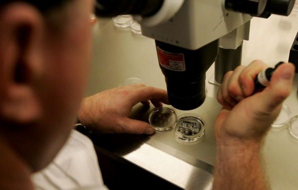 California Banco de Embriones Proporciona óvulos donados para la investigación de células madre