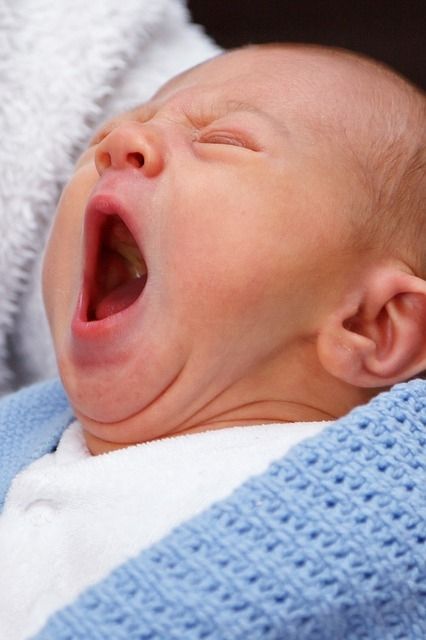 ¿Qué hace un bebé recién nacido durante la primera hora?