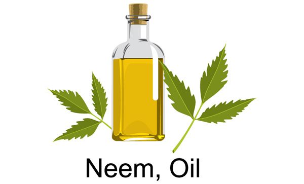 el crecimiento del cabello aceite de neem