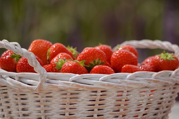 fresas para la salud