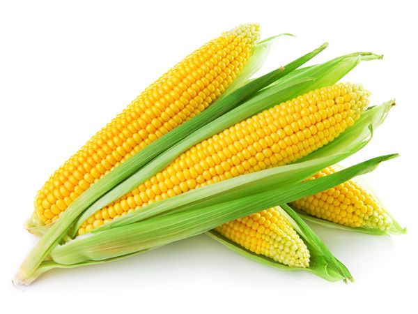 Los mejores beneficios para la salud de maíz / maíz