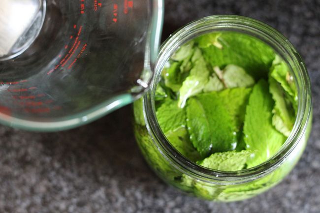 menta extracto de la receta - Mint Extracto Receta - Ohhh, me`m going to add a minty twist to my favorite brownies, chocolate pudding, ice cream, hot chocolate or tea! This two-ingredient mint extract recipe looks so easy.