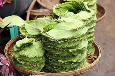 hojas de betel