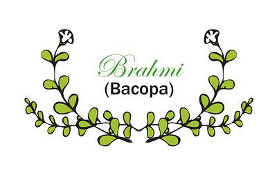brahmi Bacopa