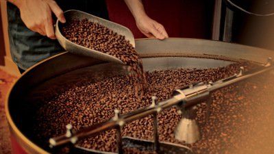 Los genes humanos vincula con el grano de café