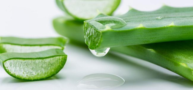 Es el Aloe Vera un remedio eficaz para la psoriasis?