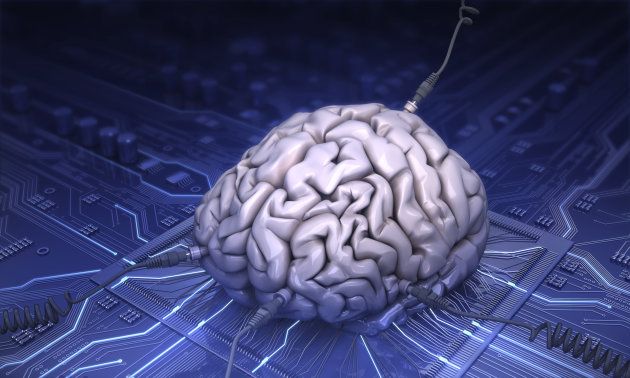 Está medios multitarea pena para un cambio en la estructura del cerebro?