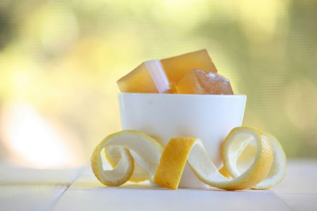 Probiótico gelatina de limón infundido