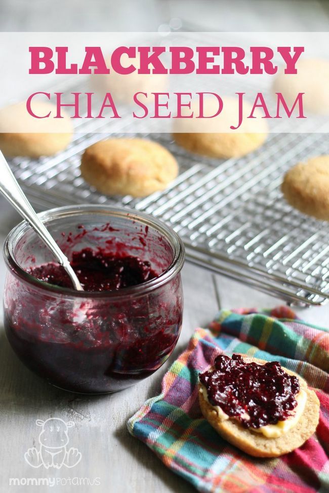 Blackberry Jam Chia Seed - tan fácil! Cuatro ingredientes simples y sólo se tarda unos 10 minutos de práctica en el momento de hacer.