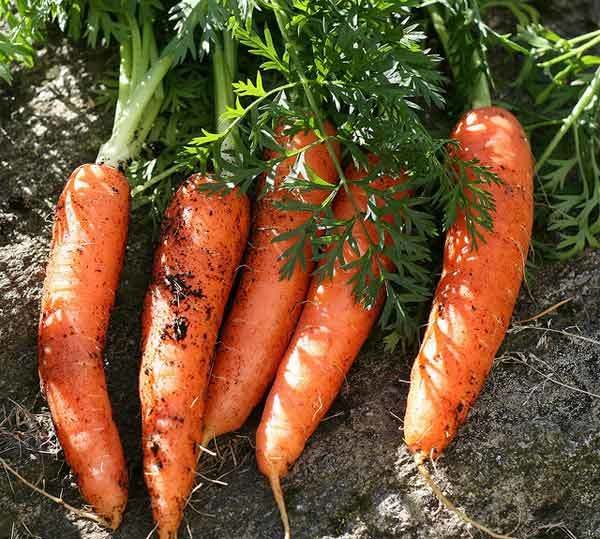 beneficios de belleza zanahoria