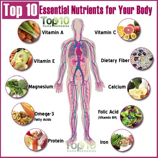 Top 10 de los nutrientes esenciales para el cuerpo