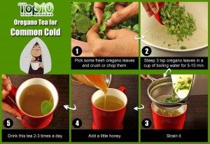 té de orégano para el resfriado común