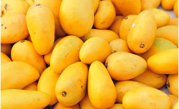 beneficios para la piel de mango