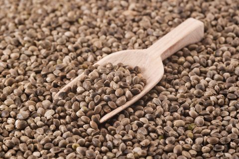 Top beneficios de comer semillas de cáñamo para la salud