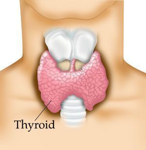 Cómo tratar la hipoglucemia y la tiroides hiper con remedios naturales