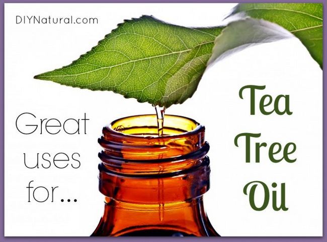 Usos Para Tea Tree Oil