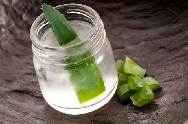 12 Razones por las que debe beber jugo de Aloe Vera + ¿Cómo hacer tu propio