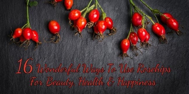 16 formas maravillosas de Usar Rosehips Para Belleza, Salud & amp; Alegría
