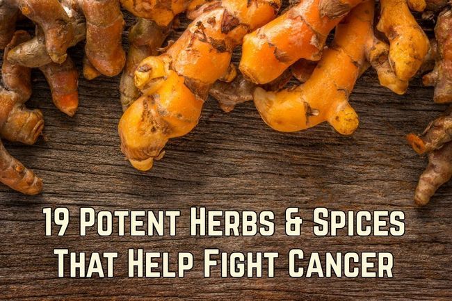 19 hierbas y especias que ayudan a combatir el cáncer potentes
