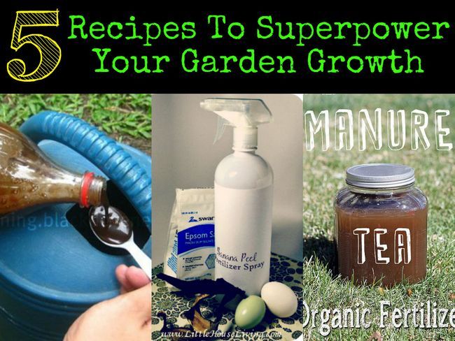 5 recetas para superpotencia Su Crecimiento Jardín