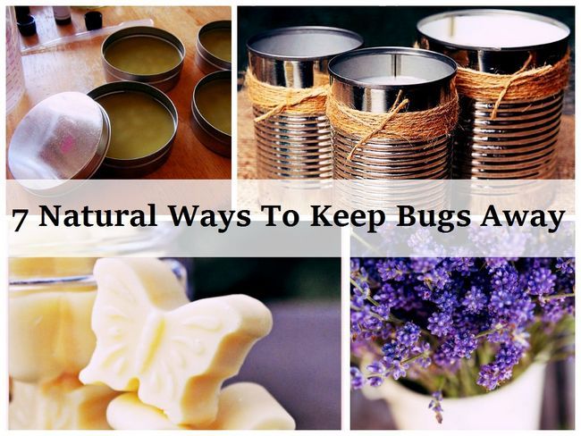 7 maneras naturales para mantener los insectos lejos